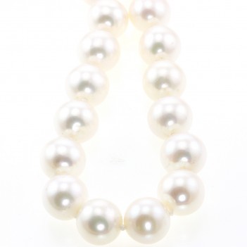 Perlas en collar con cierre en oro
